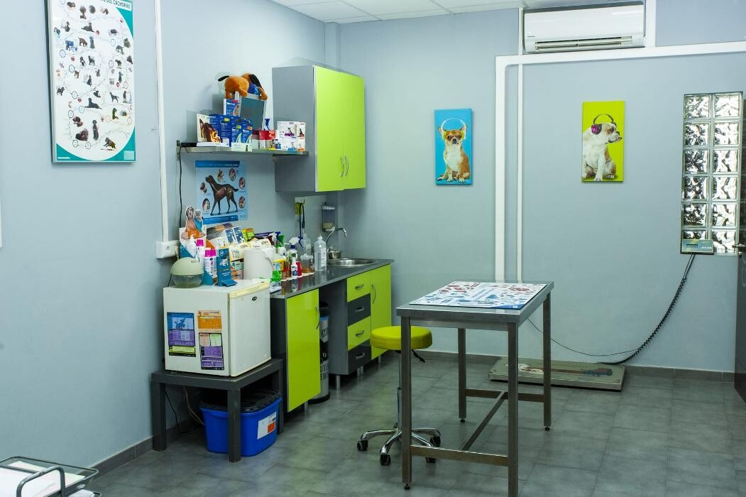 Images CENTRO VETERINARIO FERVET