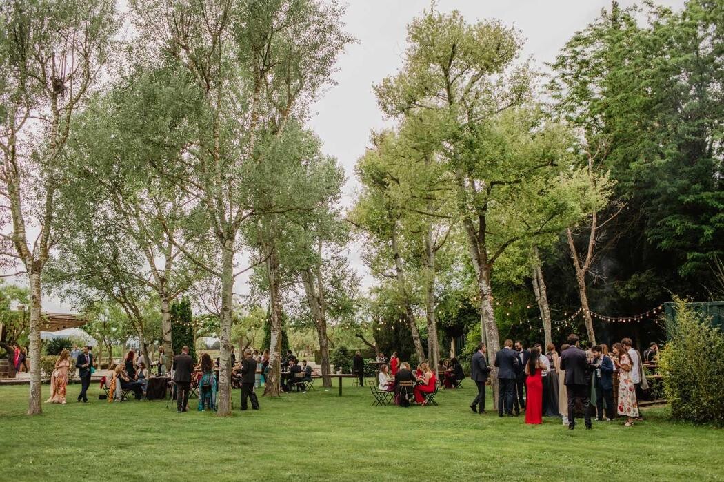Images UAUU weddings & events