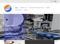 Website Screenshot Fontaneria MTF Service