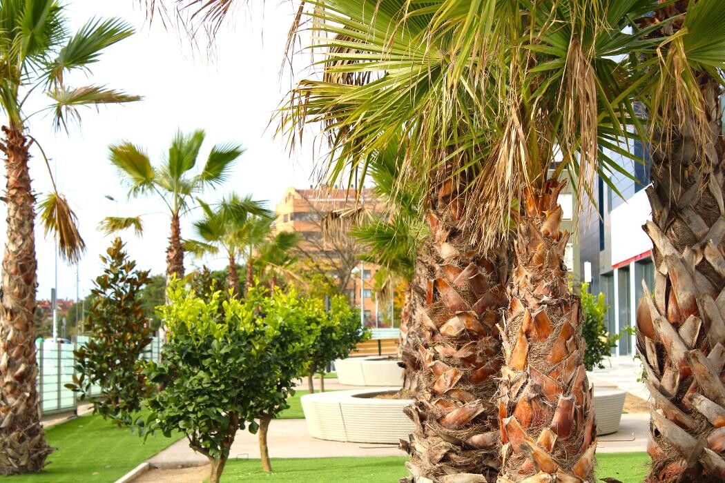 Images Residencia de Ancianos Huesca | VITALIA HOME