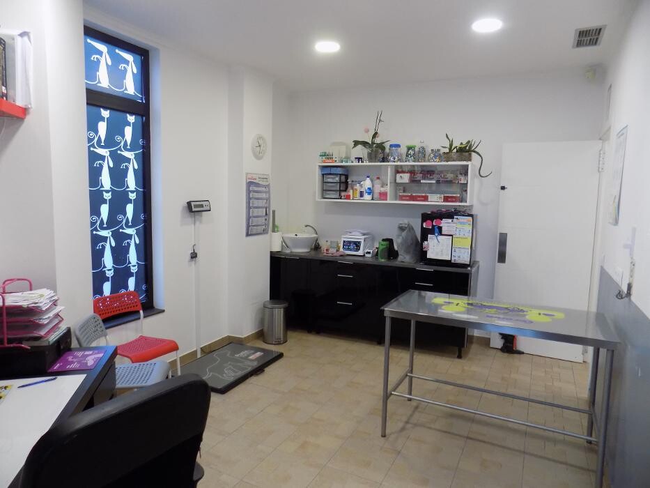 Images Clínica Veterinaria SANTA ICÍA