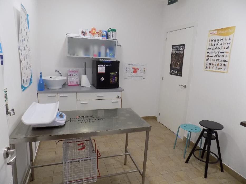 Images Clínica Veterinaria SANTA ICÍA
