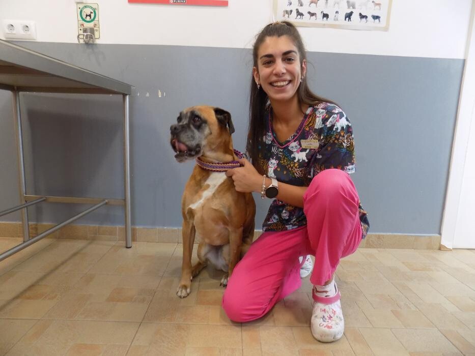 Images Clínica Veterinaria SANTA ICÍA