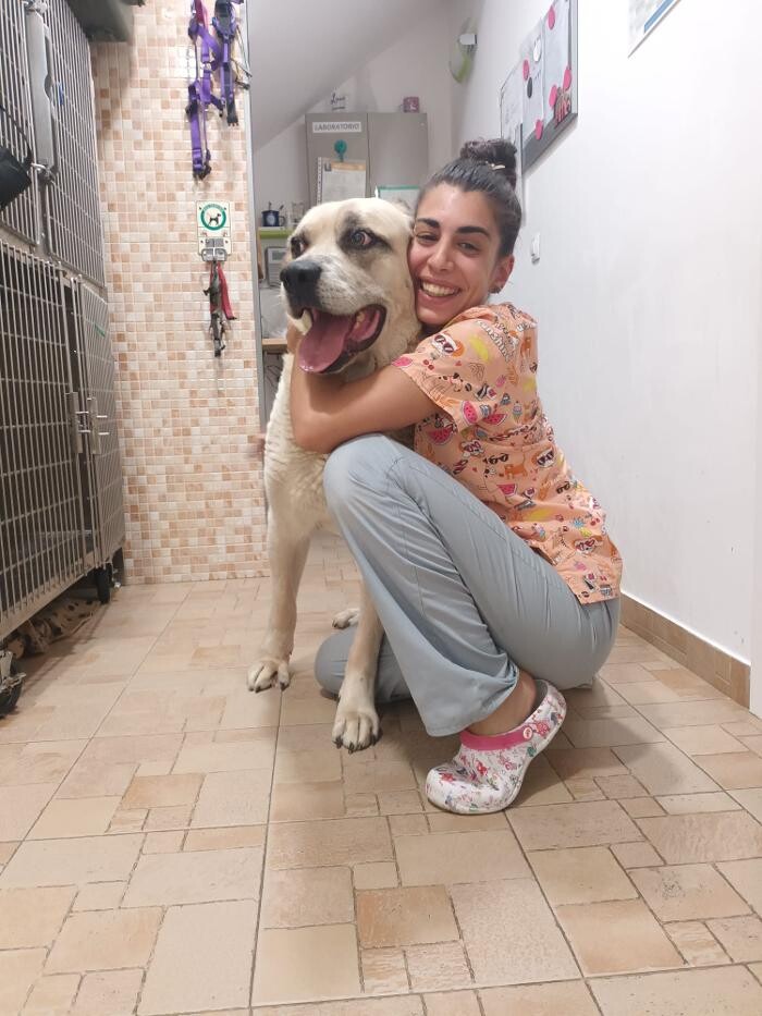 Images Clínica Veterinaria SANTA ICÍA