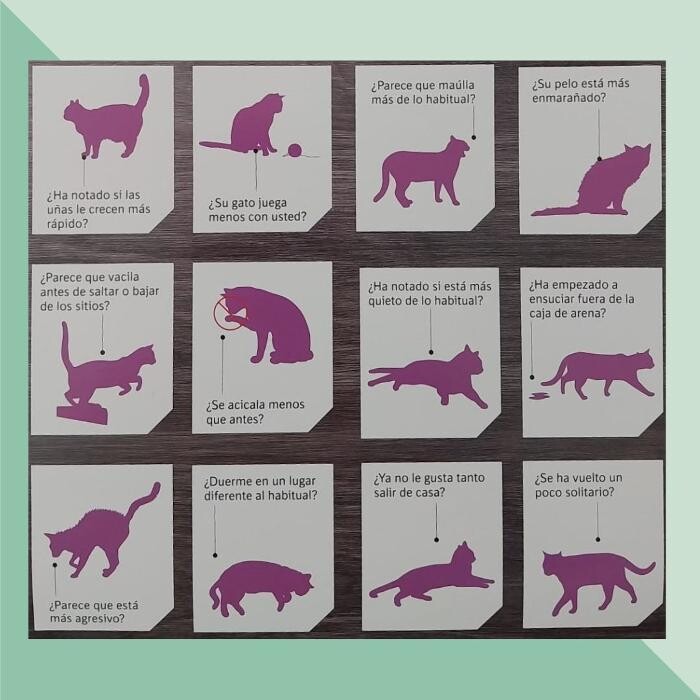 Images Clínica Veterinaria SANTA ICÍA