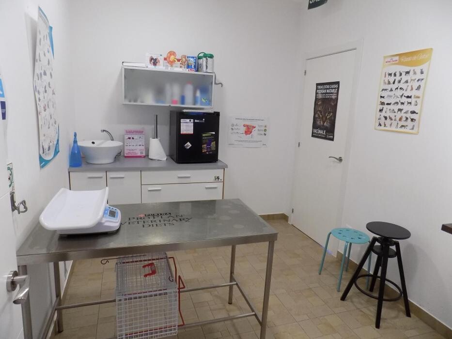 Images Clínica Veterinaria SANTA ICÍA