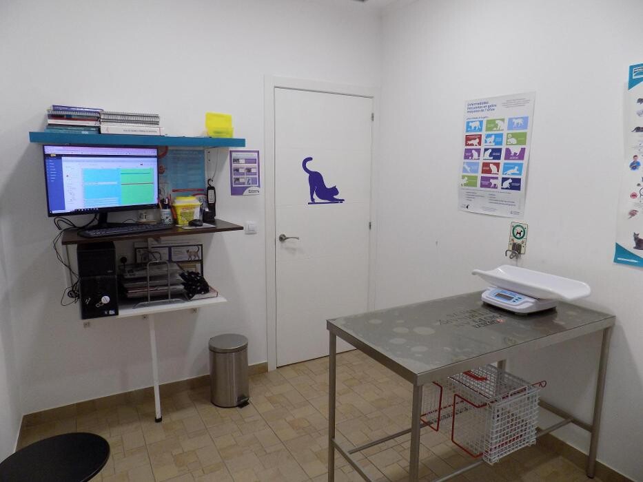 Images Clínica Veterinaria SANTA ICÍA