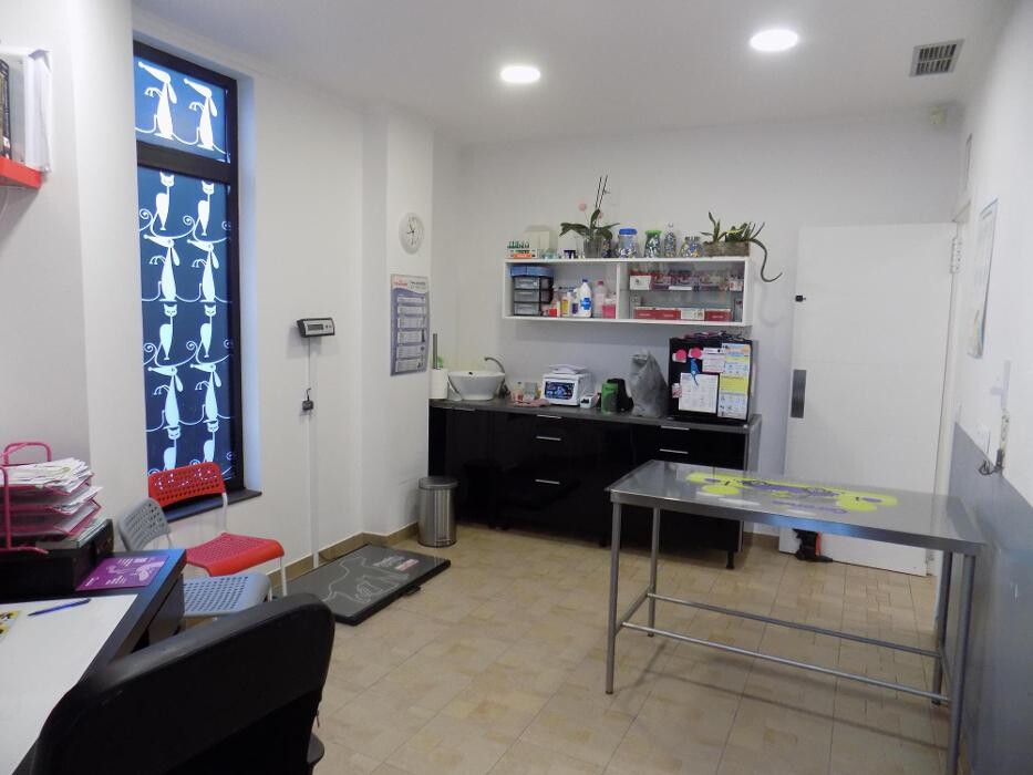 Images Clínica Veterinaria SANTA ICÍA