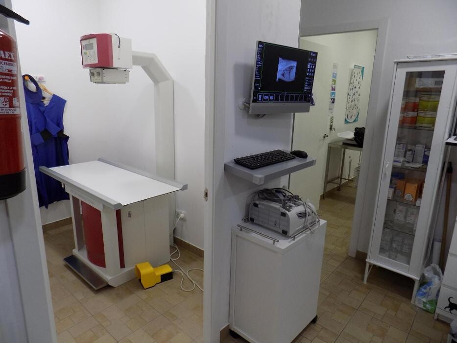 Images Clínica Veterinaria SANTA ICÍA