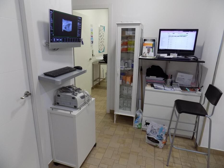 Images Clínica Veterinaria SANTA ICÍA