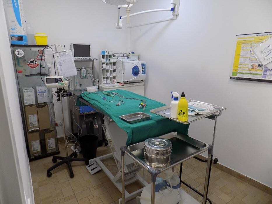 Images Clínica Veterinaria SANTA ICÍA
