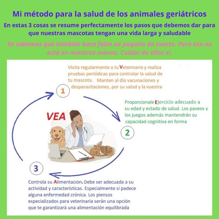 Images Clínica Veterinaria SANTA ICÍA