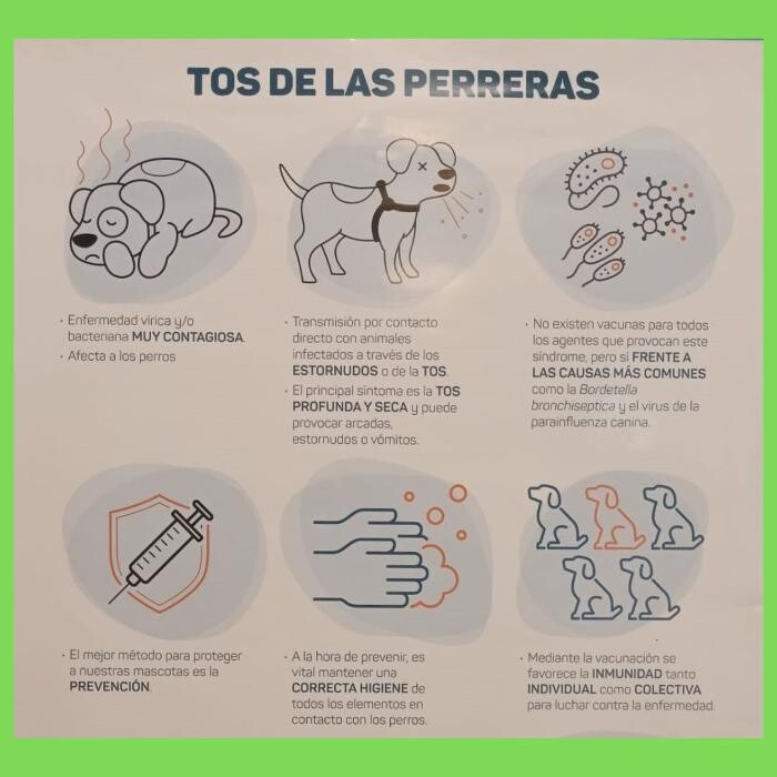 Images Clínica Veterinaria SANTA ICÍA