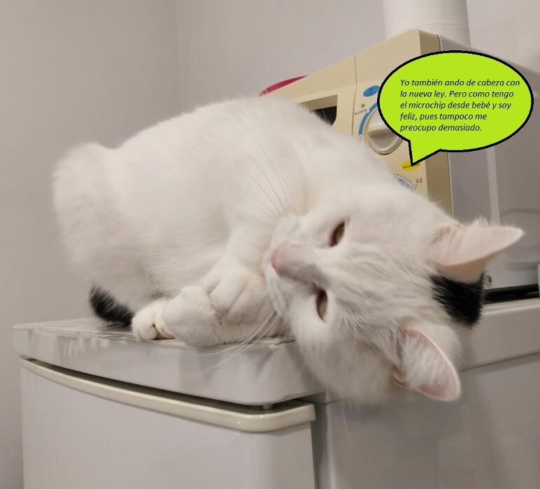 Images Clínica Veterinaria SANTA ICÍA