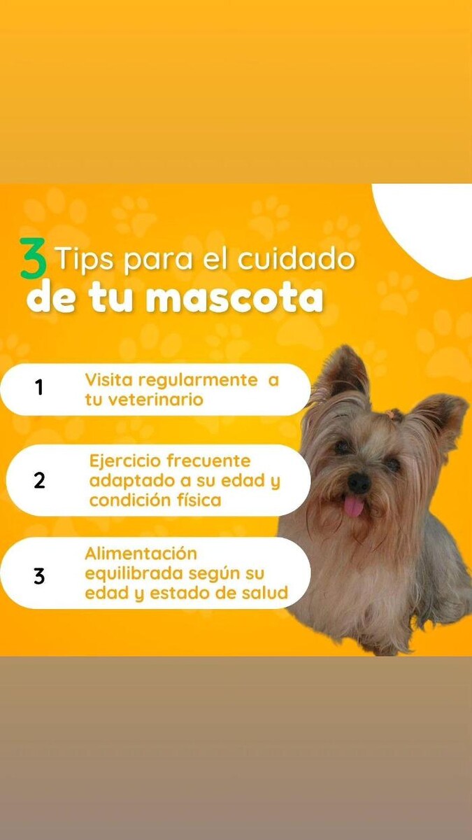 Images Clínica Veterinaria SANTA ICÍA