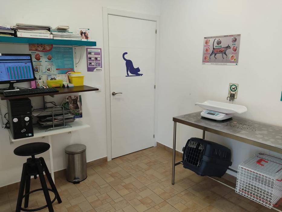 Images Clínica Veterinaria SANTA ICÍA