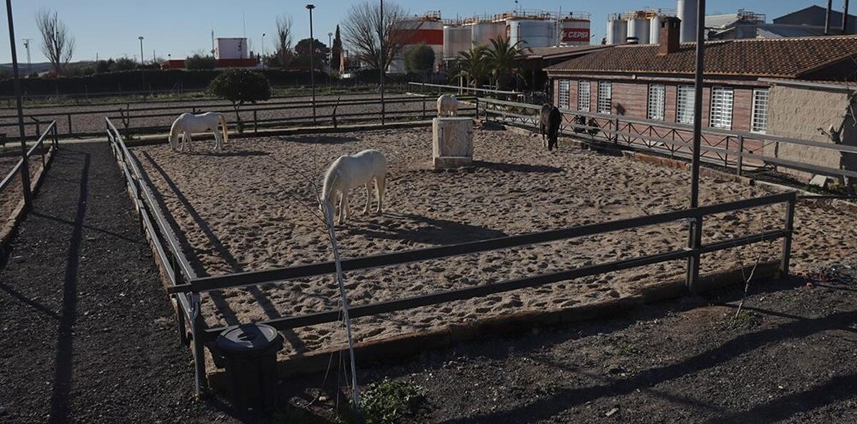 Images Hípica Equus elm