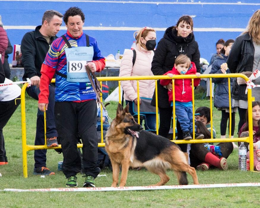 Images CENTRO CANINO DOGQUIJOTE