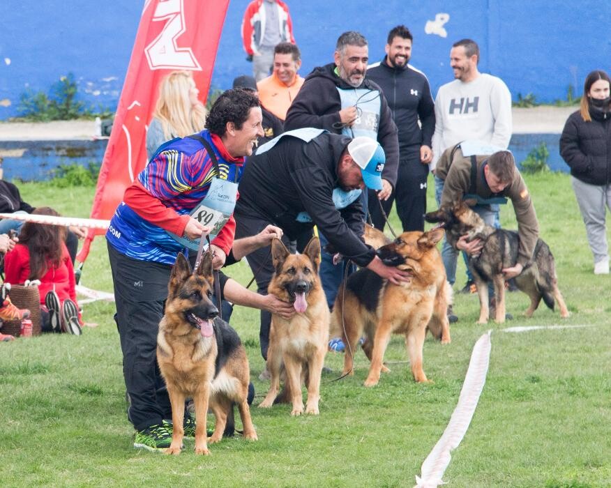 Images CENTRO CANINO DOGQUIJOTE