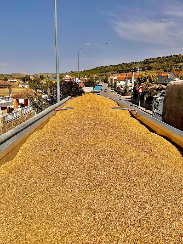 Images XB LOGISTICA GLOBAL DE MERCANCIAS, S.L.U.