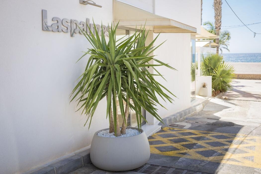 Images Hotel Las Palmas