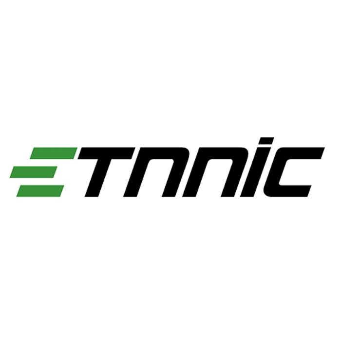 Etnnic Logo