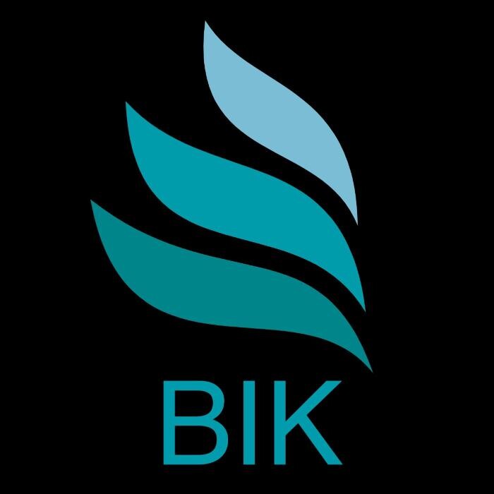 BIK | innovación tecnológica e I+D Logo