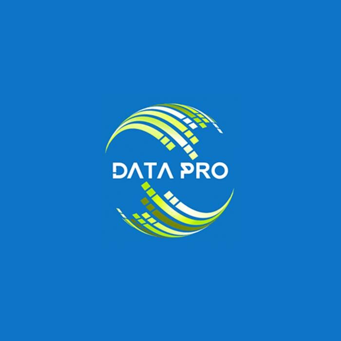 Data Pro Logo