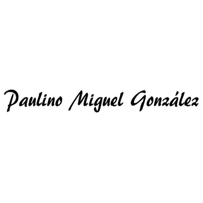 PAULINO MIGUEL GONZALEZ Logo