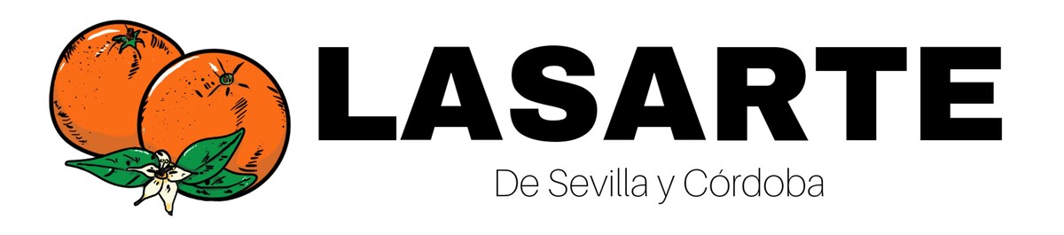 Lasarte Sat Logo