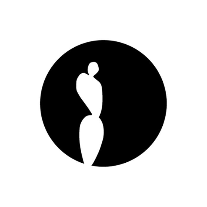 Palera Arquitectos Logo