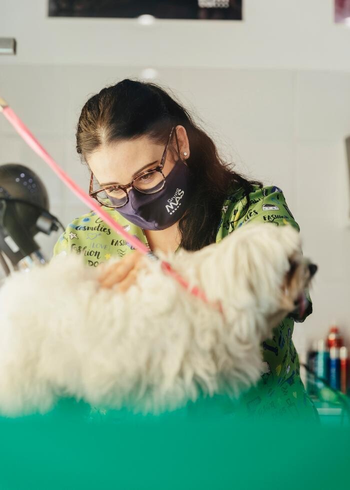 Images Mökai Mascotas