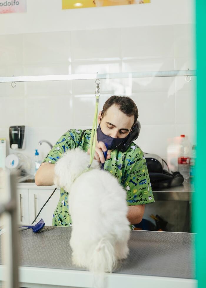 Images Mökai Mascotas