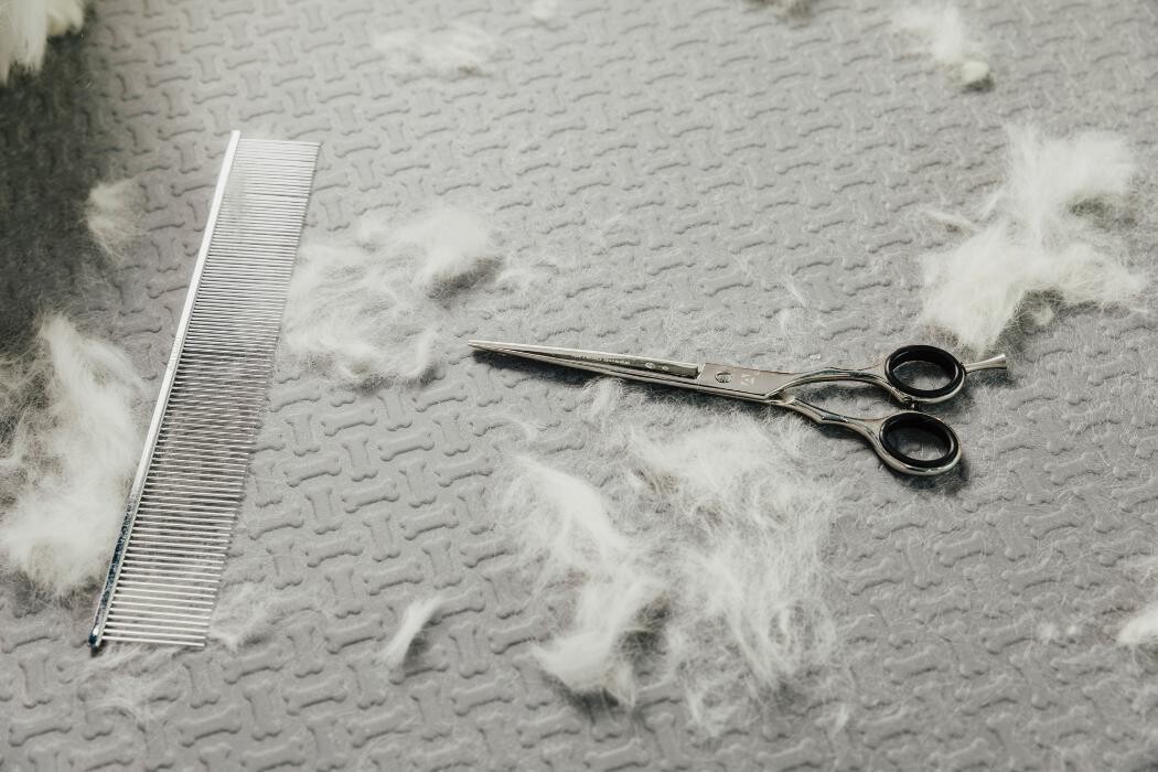 Images Mökai Mascotas