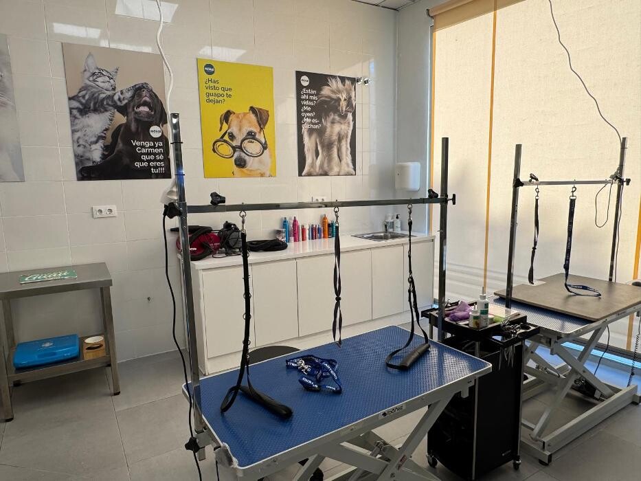 Images Mökai Mascotas