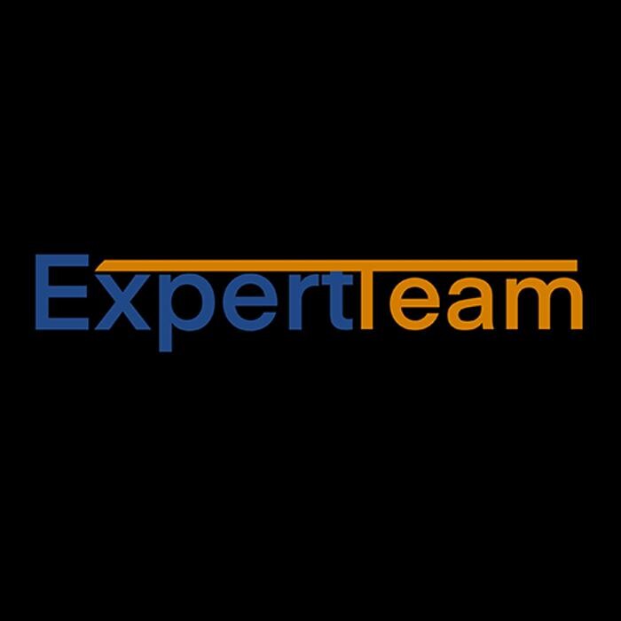 Expert Team Logo