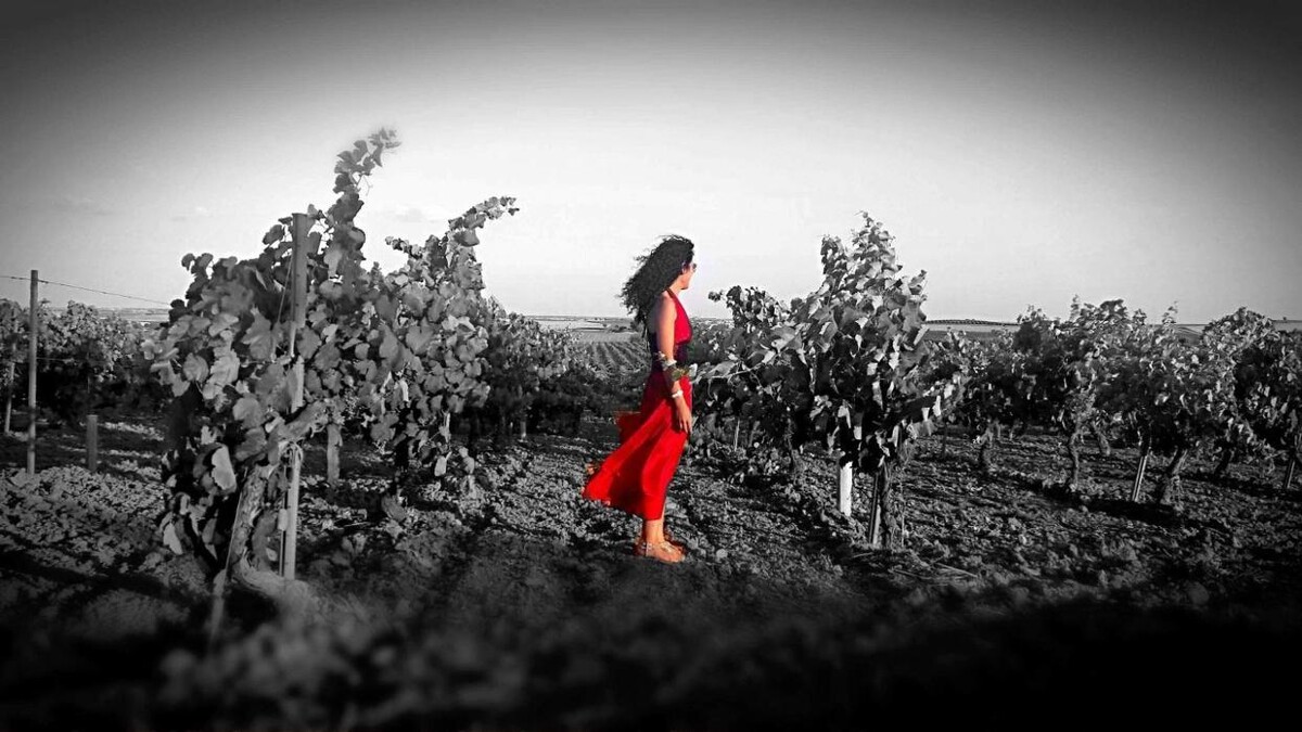 Images Bodega C. Mingo