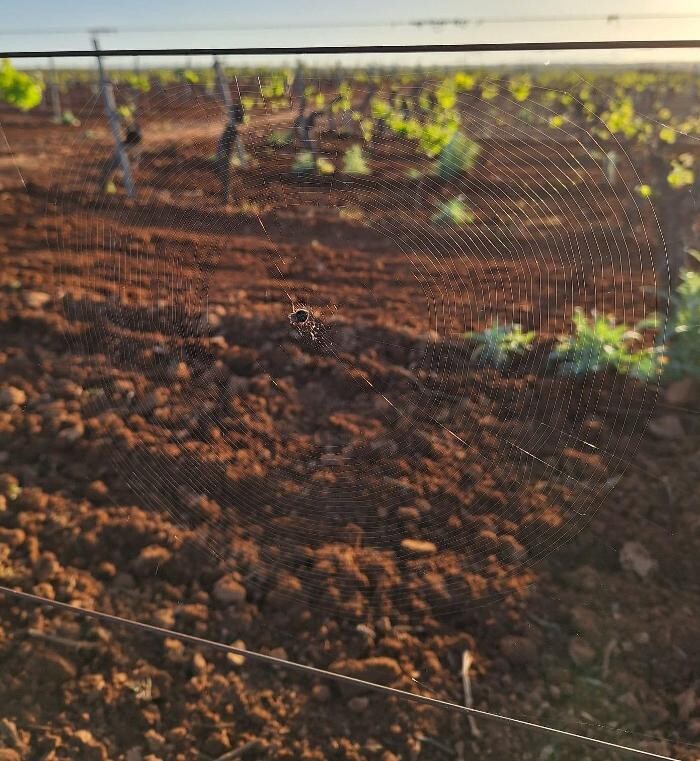 Images Bodega C. Mingo