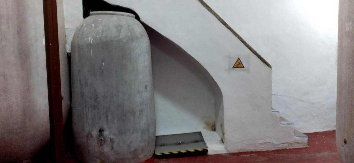 Images Bodega C. Mingo