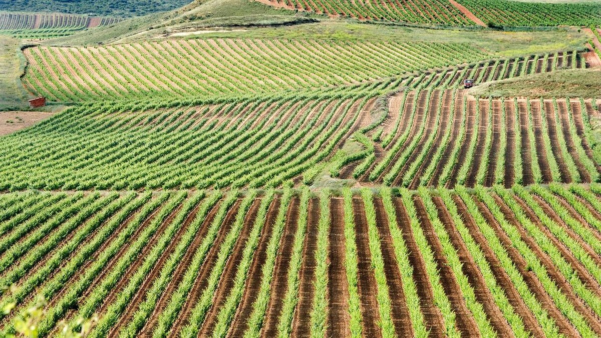 Images Empérica Europa