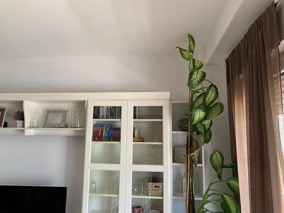 Images Pintores Madrid