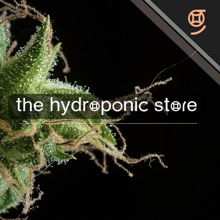 Images organic club CBD