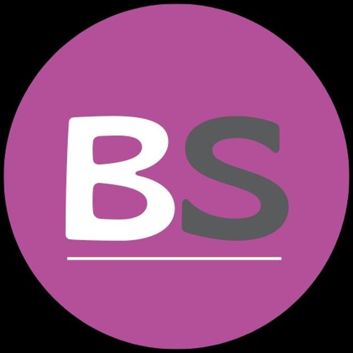 BierzoSEO Logo