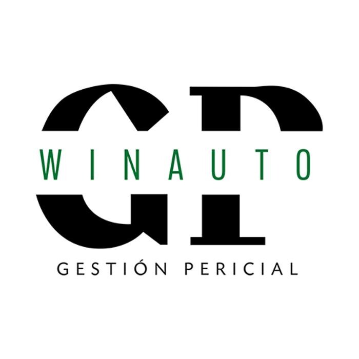 WINAUTO GESTION PERICIAL Logo