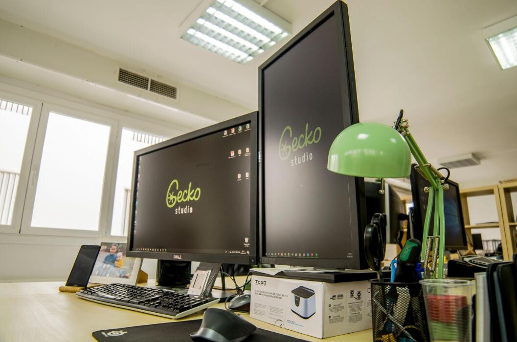 Images Gecko Studio - Estudio Diseño Web & Agencia SEO y Local