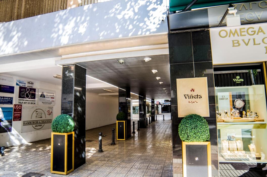 Images Gecko Studio - Estudio Diseño Web & Agencia SEO y Local