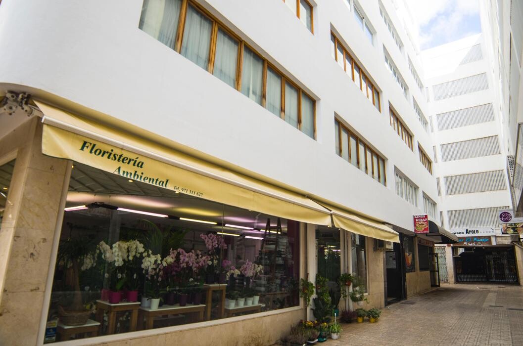 Images Gecko Studio - Estudio Diseño Web & Agencia SEO y Local