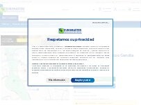 Website Screenshot Euromaster Neumáticos Gandía Turismo