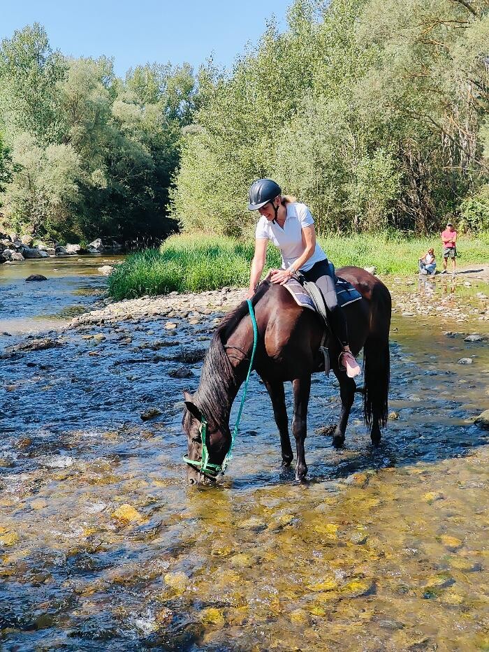 Images Cerdanya Eqüestre