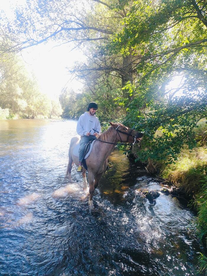 Images Cerdanya Eqüestre